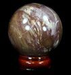 Colorful Petrified Wood Sphere #36971-2